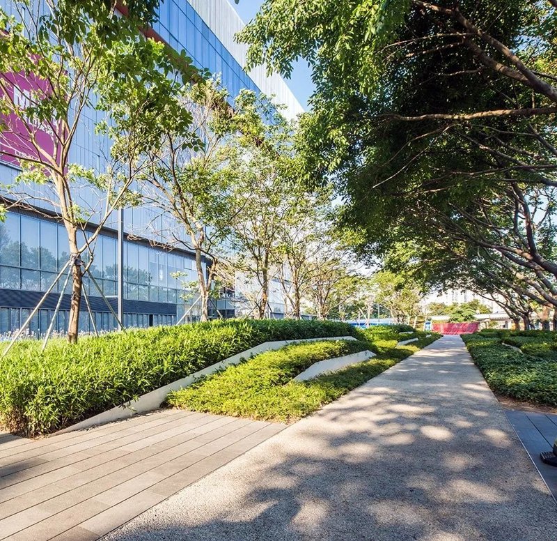 城市景观设计：打造绿色生态城市的艺术